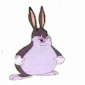 Meet your Posher, Adrien